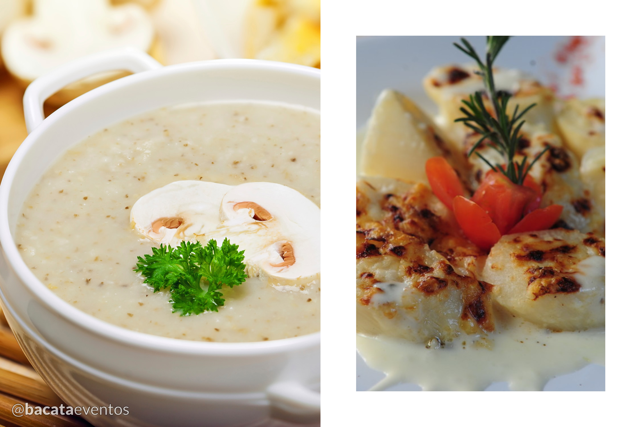 Bacatá Eventos - Entradas tipo 2