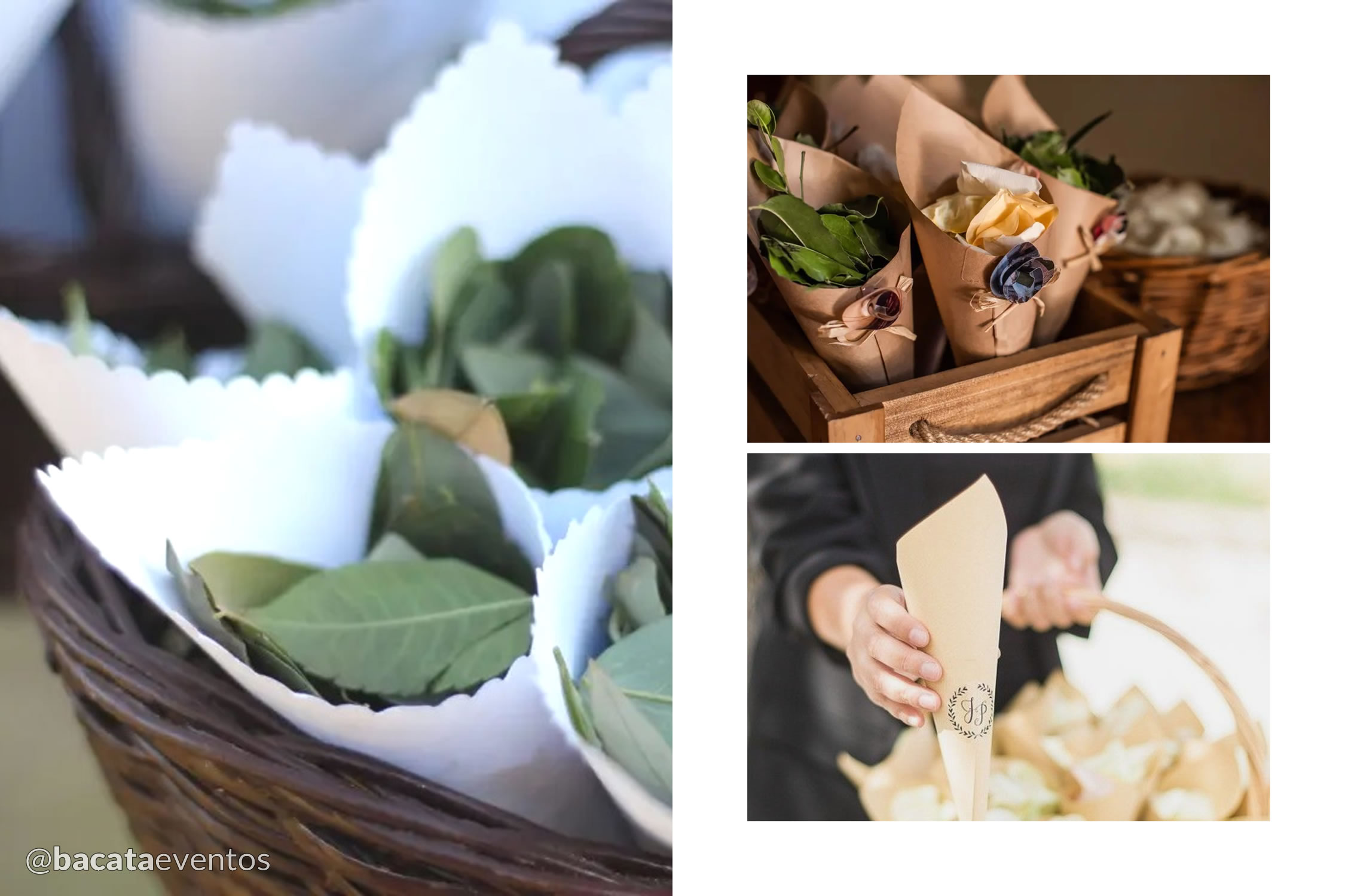 Bacatá Eventos - Detalles para la salida