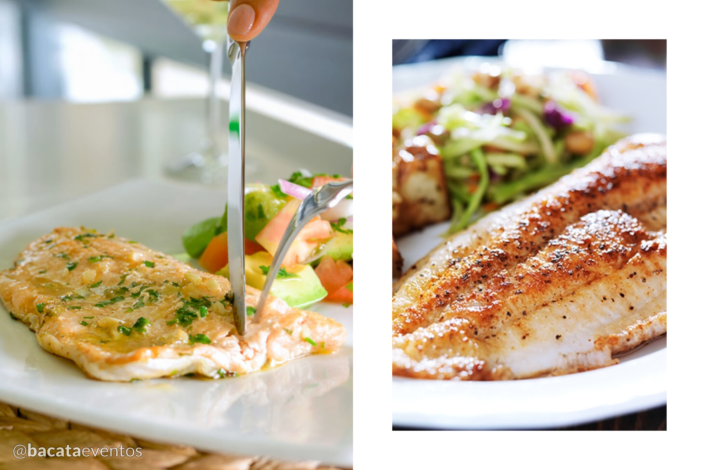 Bacatá Eventos - Plato principal